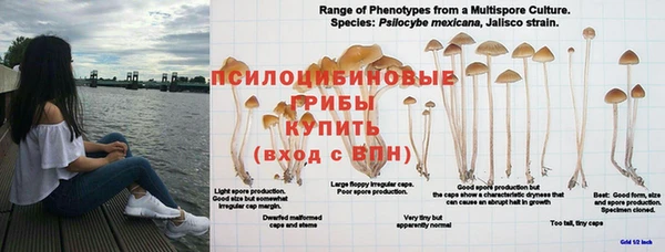 стафф Покров